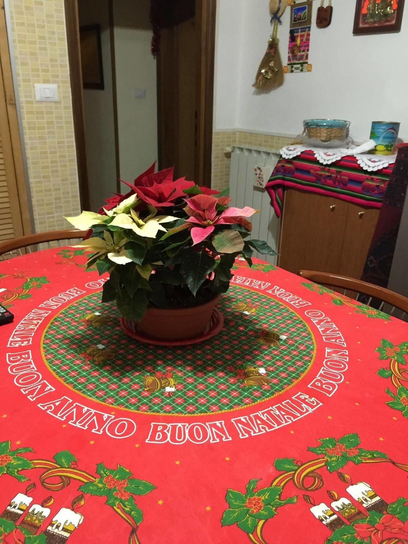 Marcelina Bed & Breakfast Rome Bagian luar foto